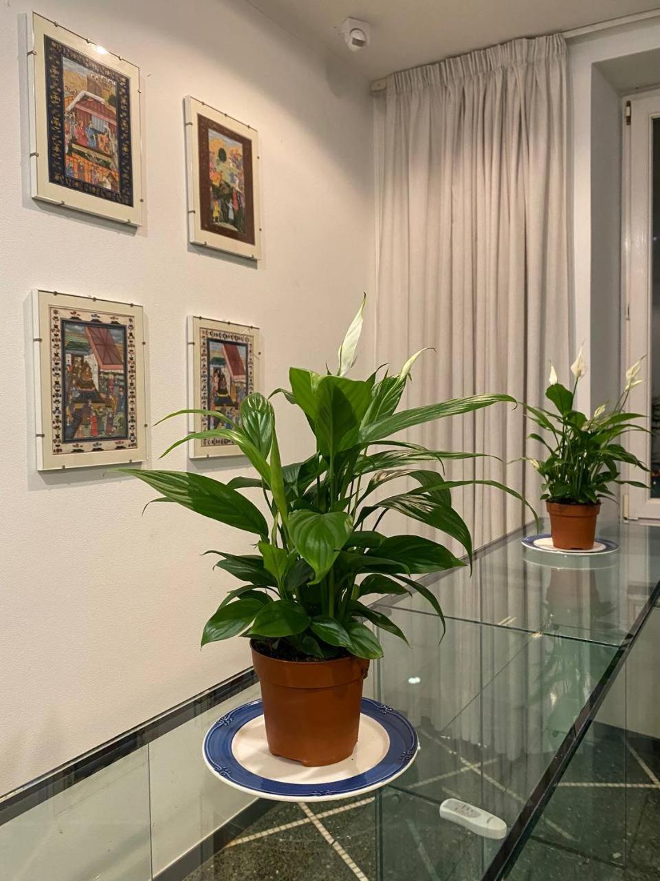Martel Rooms - Genova Centro Brignole Экстерьер фото